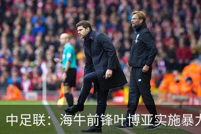 中足联：海牛前锋叶博亚实施暴力行为 停赛4场罚款4万